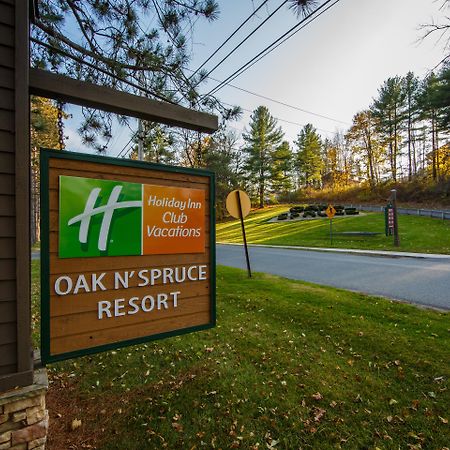 Holiday Inn Club Vacations Oak N Spruce Resort In The Berkshires Lee Eksteriør billede